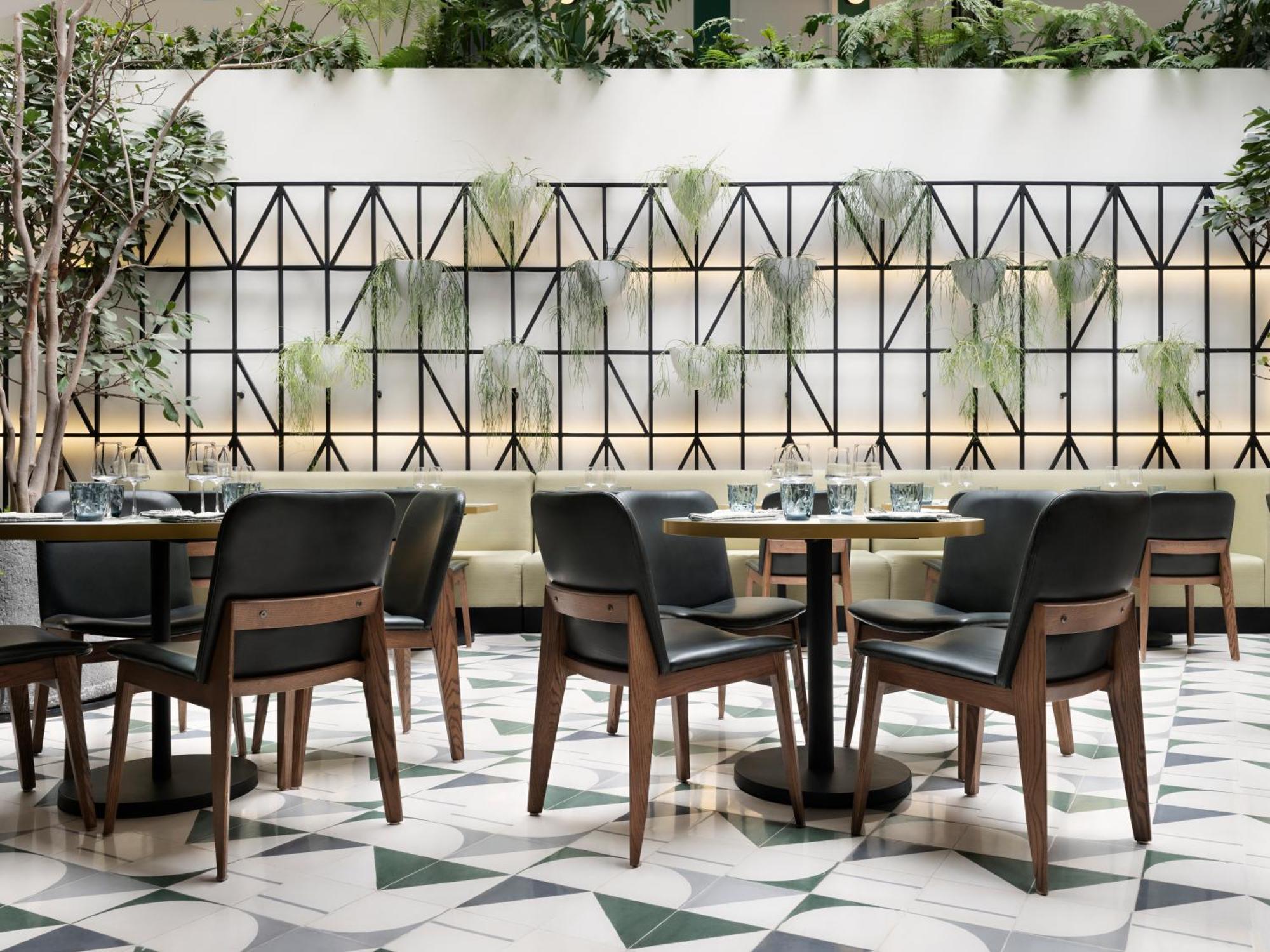 Отель Kimpton Virgilio By Ihg Мехико Экстерьер фото