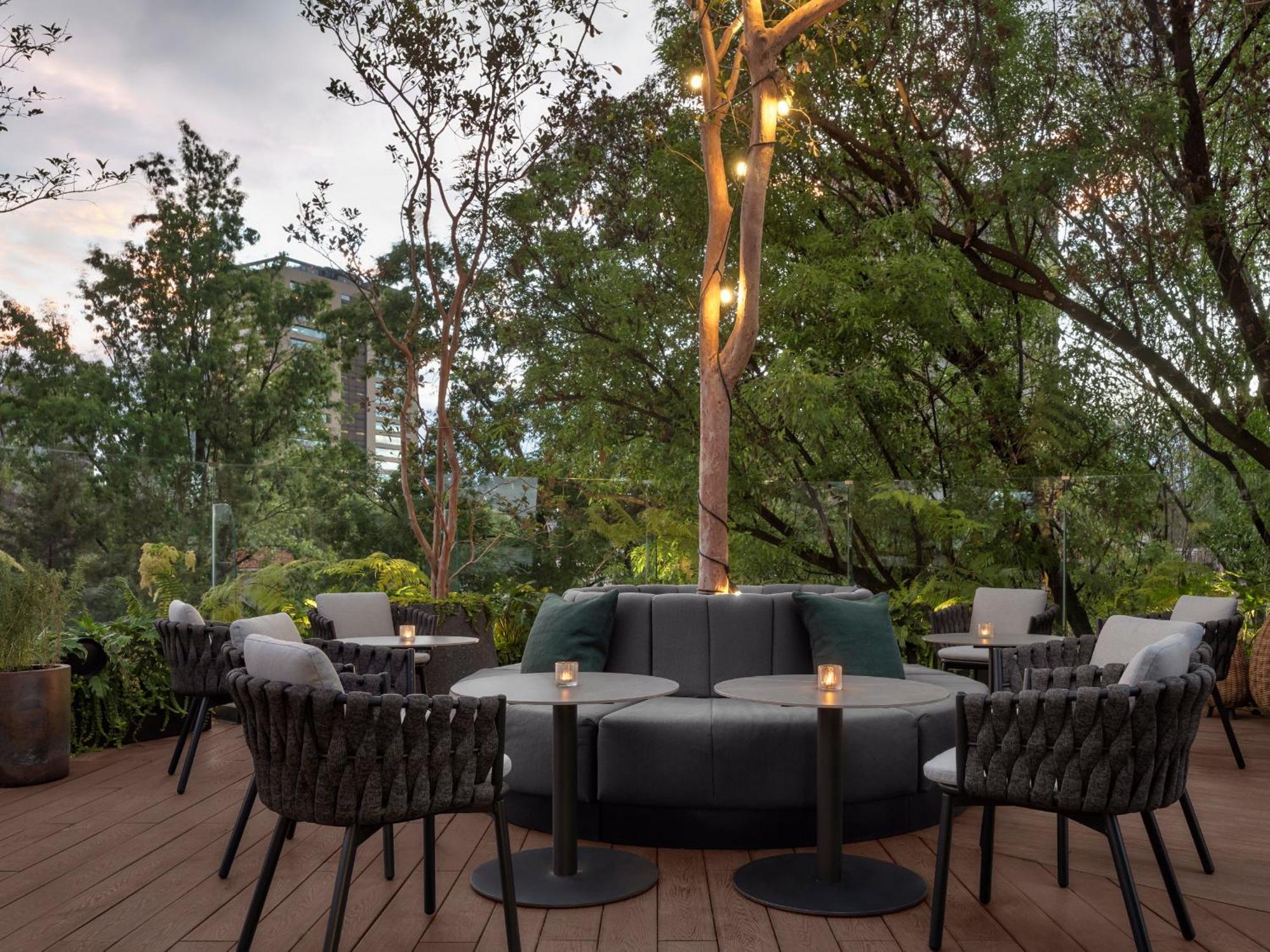 Отель Kimpton Virgilio By Ihg Мехико Экстерьер фото